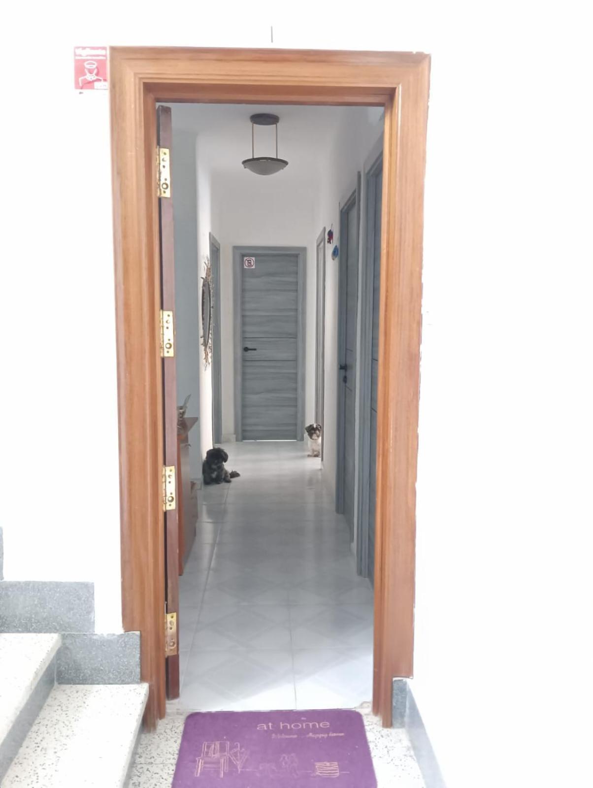 Alicante Habitacion Oasis מראה חיצוני תמונה