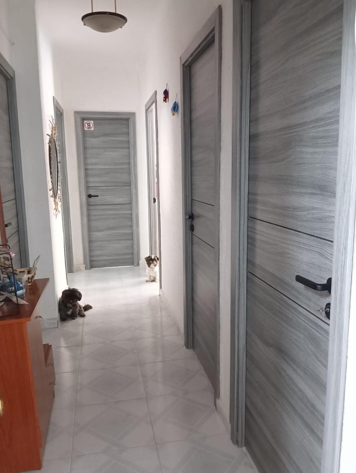 Alicante Habitacion Oasis מראה חיצוני תמונה
